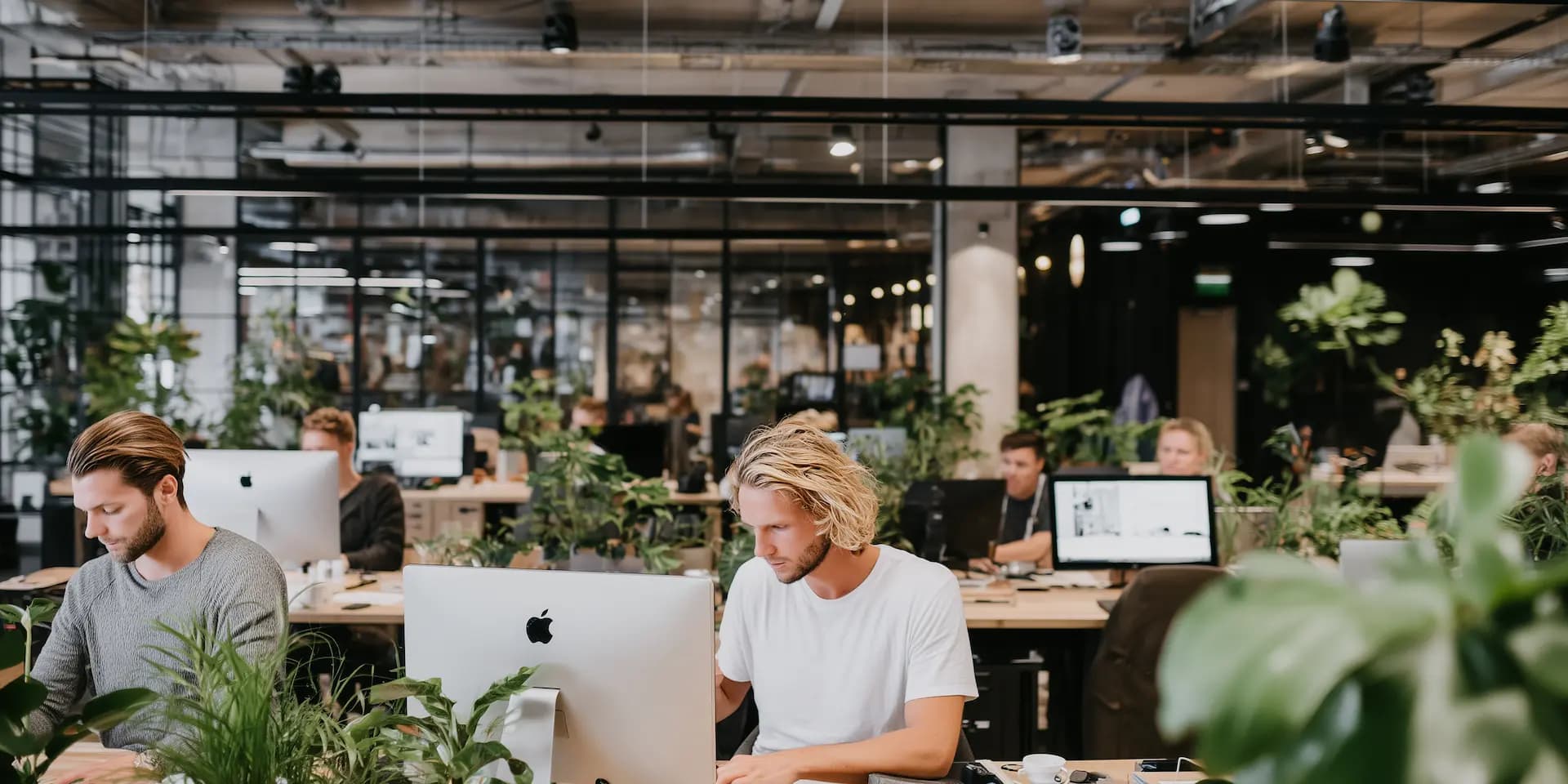 Analytics specialisten